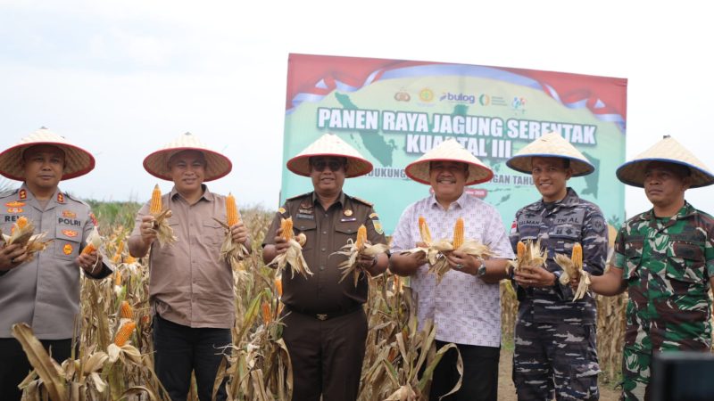 Panen Raya Jagung di Asahan, Polres dan Forkopimda Dorong Swasembada Pangan