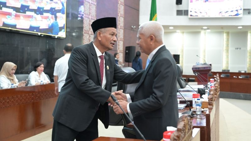 RPJMD Sumut 2025-2029, Wagub Sumut Surya Sampaikan Sembilan Target Sasaran