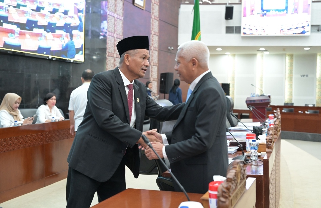 RPJMD Sumut 2025-2029, Wagub Sumut Surya Sampaikan Sembilan Target Sasaran