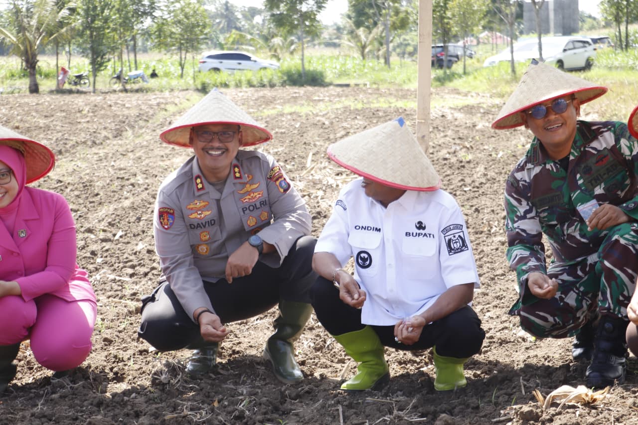 Polres Langkat Laksanakan Penanaman Jagung Kuartal IV di lahan Pertanian Binaan