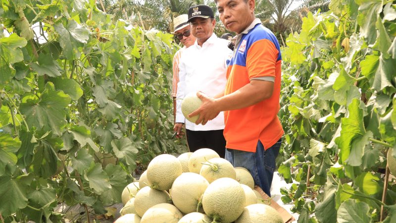 Bupati Darma Wijaya Dorong Pelaku Usaha Manfaatkan Peluang Program MBG
