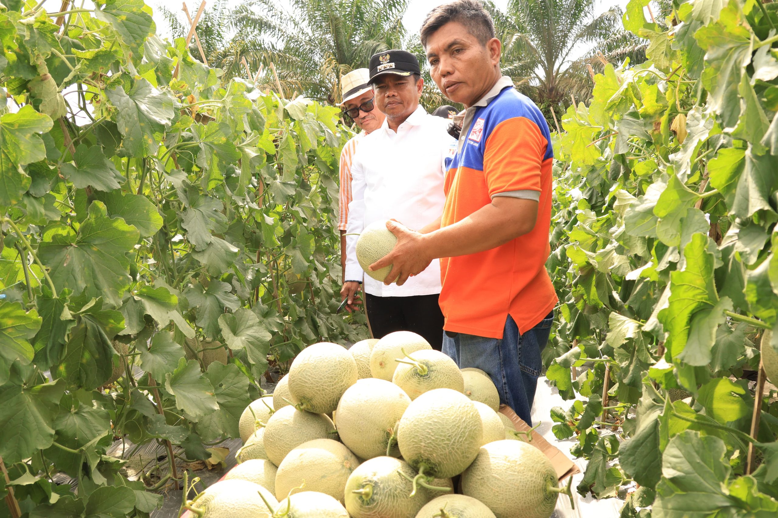 Bupati Darma Wijaya Dorong Pelaku Usaha Manfaatkan Peluang Program MBG