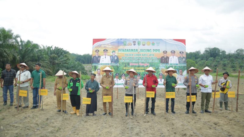 Dukung Program Nasional, Wakapolres Inhu Tanam Jagung Pipil 10 Hektar