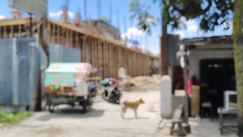 Tidak Patuh, Perkimcitaru Akui Sudah Surati Satpol PP Medan Tertibkan Belasan Bangunan kos-kosan di Jalan