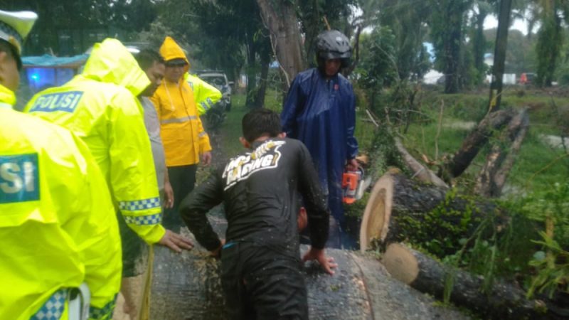 BPBD Bersama Dinas Perkim LH dan Satlantas Batu Bara Laksanakan Penanganan Darurat Pohon Tumbang, Warga Diimbau Tetap Waspada