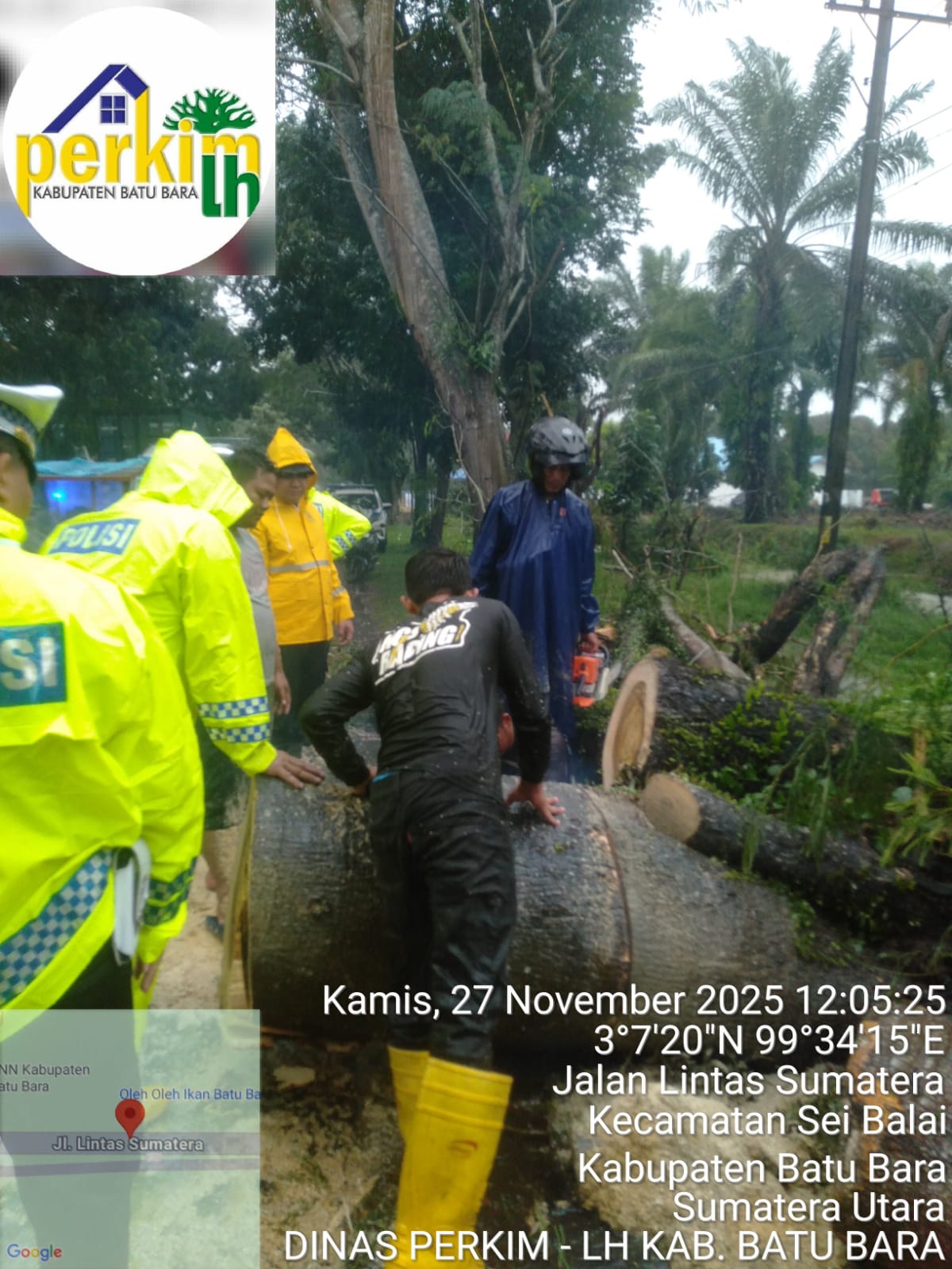 BPBD Bersama Dinas Perkim LH dan Satlantas Batu Bara Laksanakan Penanganan Darurat Pohon Tumbang, Warga Diimbau Tetap Waspada