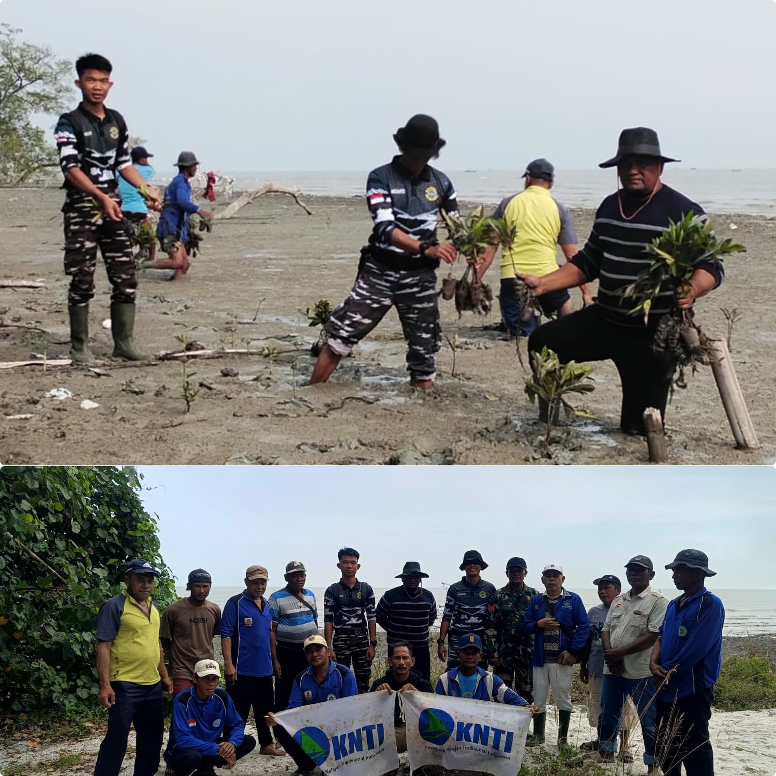 Peduli Desa Pesisir, Kelompok Tani Hutan Sumber Baru Bersama Pemdes Bagan Kuala Tanam 1000 Mangrove