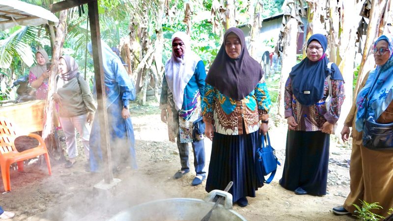 Ny. Endang Syah Afandin Dorong Kader PKK Tanjung Pasir Jadi Percontohan UP2K Sumut