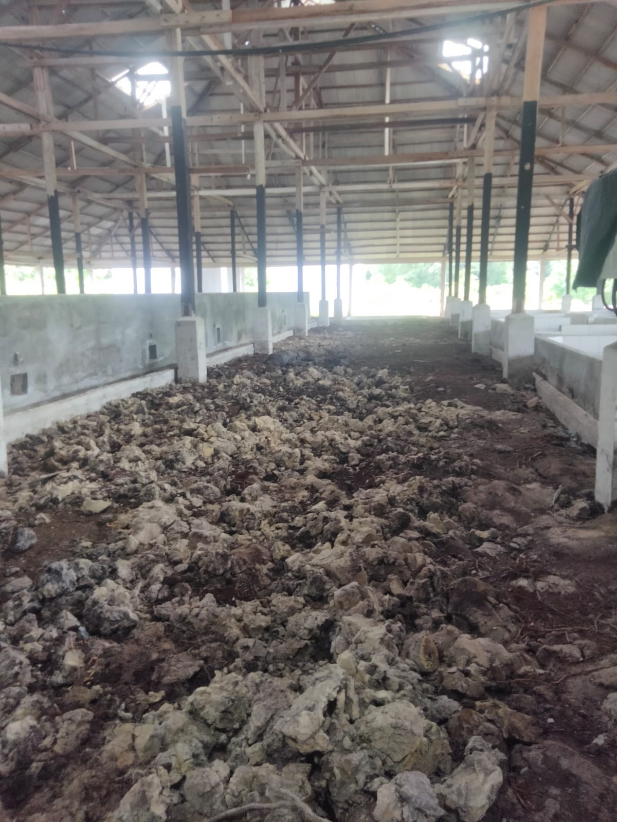 Satgasus KPK Tipikor Laporkan Proyek Kilang Sagu Mangkrak 4,5 M- ke Kejati Riau: Desak Audit Forensik dan Penetapan Tersangka