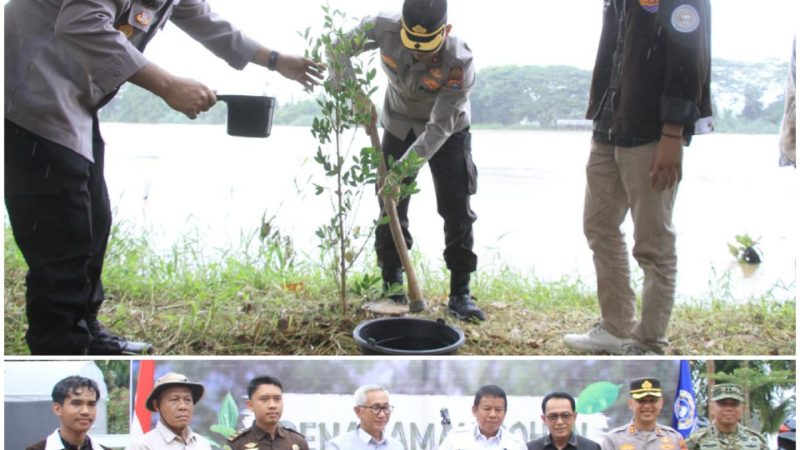 Cegah Abrasi di Tepian Sungai, Forkopimda Inhu Bersama Bem ITB Tanam Pohon
