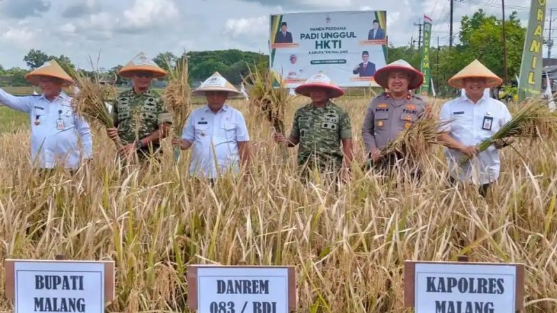 Produksi Padi di Kabupaten Malang Mencapai Surplus 80 Ribu Ton