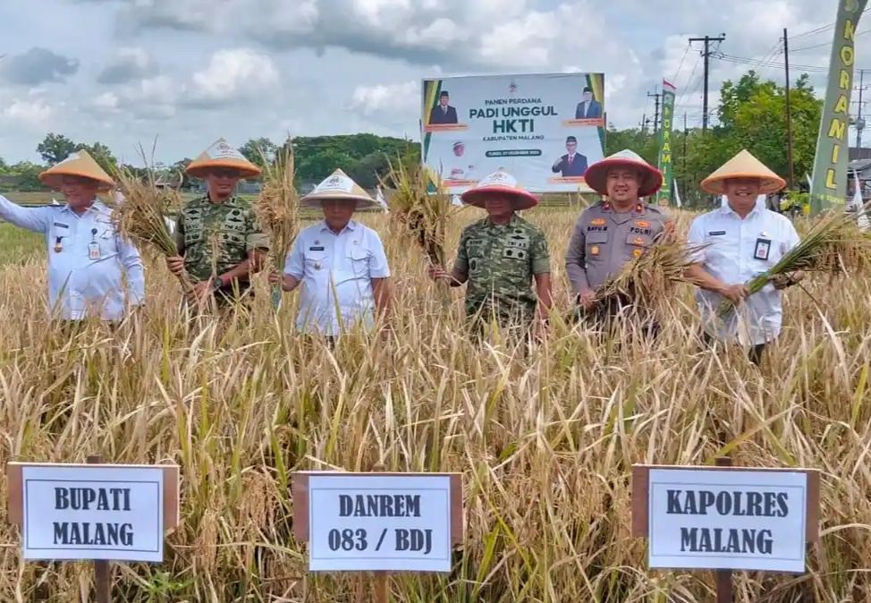 Produksi Padi di Kabupaten Malang Mencapai Surplus 80 Ribu Ton