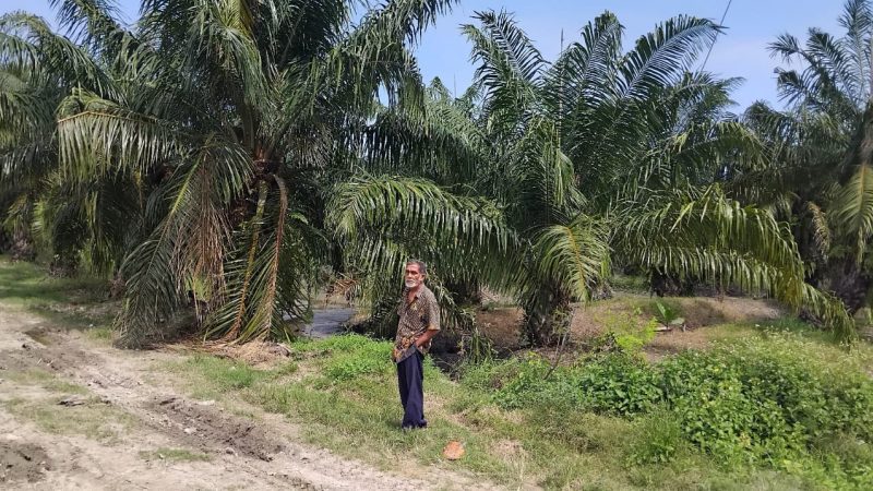 Tim GTRA Sumut : Maslaah Sengketa Lahan Eks HGU PT DMK Tahun 2026 Akan Ditindaklanjuti Lagi