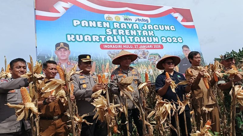 Panen Jagung Bersama PT PAS, Kapolres Inhu: Kekuatan Swasembada Pangan Negara Berasal Dari Desa