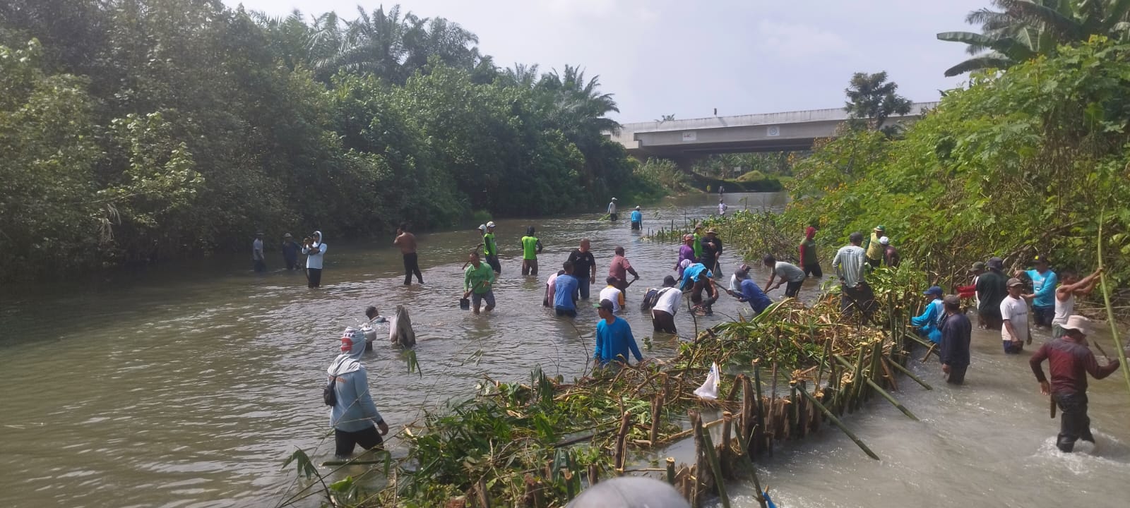 Bupati Baharuddin Siagian Gerakkan Dinas Pertanian dan Perkebunan Kabupaten Batu Bara dan Petani Hempang Aliran Sungai Ramunia, Atasi Kekeringan Persawahan Masyarakat