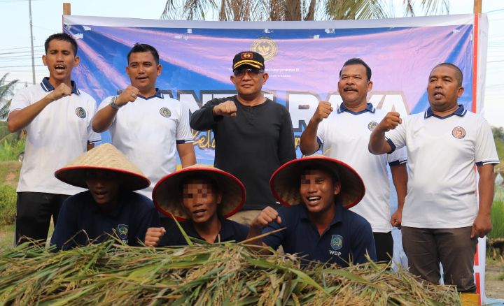 Implementasi Ketahanan Pangan, Lapas Rantauprapat Gelar Panen Padi Bersama WB