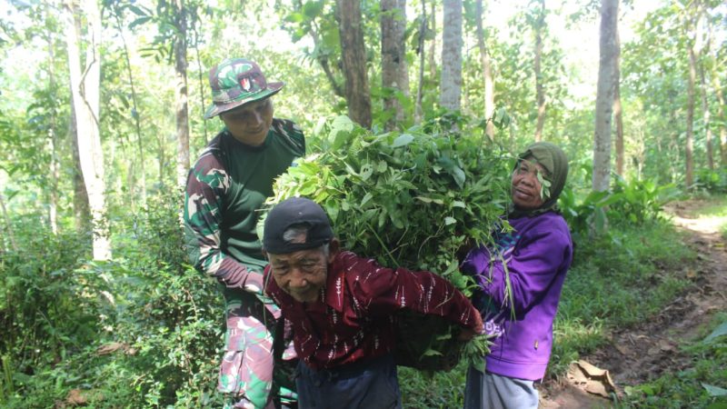 Langkah Awal Menuju Rumah Layak Huni: Prajurit Kodim 0709/Kebumen Bantu Bersihkan Rumah Bapak Sarikin