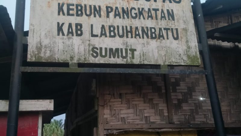 Manager Dan Asisten Afdeling Perkebunan PT Togos Gopas Wilayah Pangkatan Klarifikasi Tentang Tidak Ada Ilegal logging Terjadi