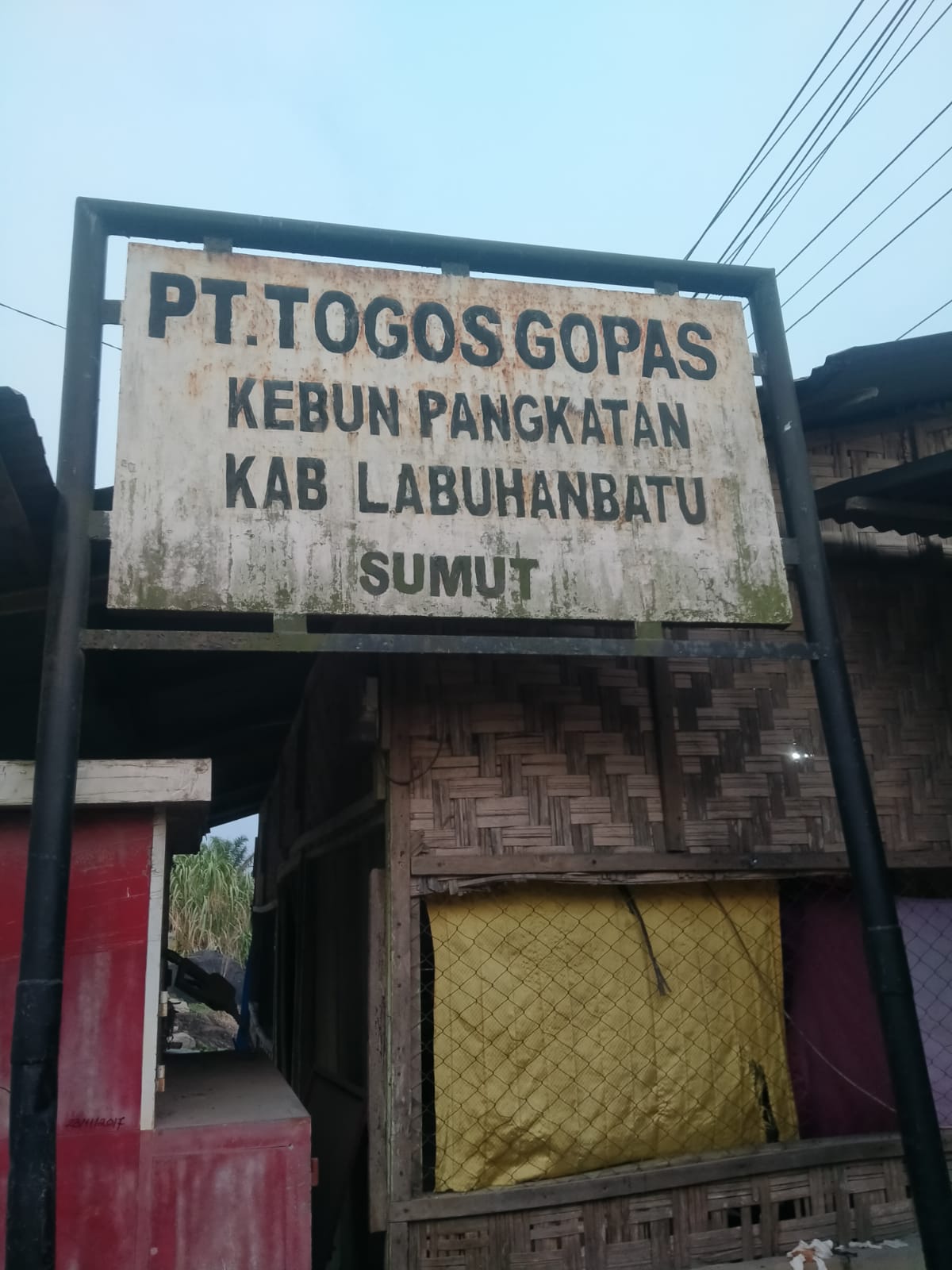 Manager Dan Asisten Afdeling Perkebunan PT Togos Gopas Wilayah Pangkatan Klarifikasi Tentang Tidak Ada Ilegal logging Terjadi