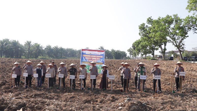 Dukung Ketahanan Pangan Nasional, Kapolres Sergai Lakukan Penanaman Jagung Serentak Kuartal I 2026
