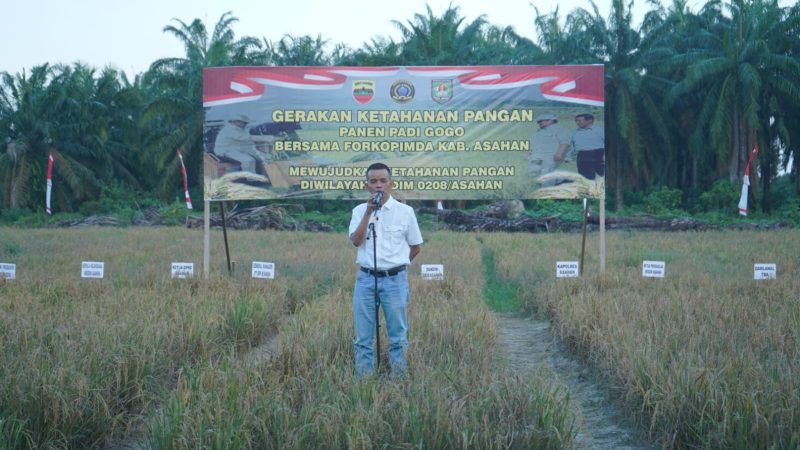 Panen Raya Ketahanan Pangan, Kodim 0208/As Tanam Padi Gogo