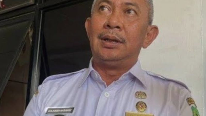 Pengamat Kritik Keras, Rangkap Jabatan Sulaiman Harahap Bukti Lemahnya Ketegasan Gubernur