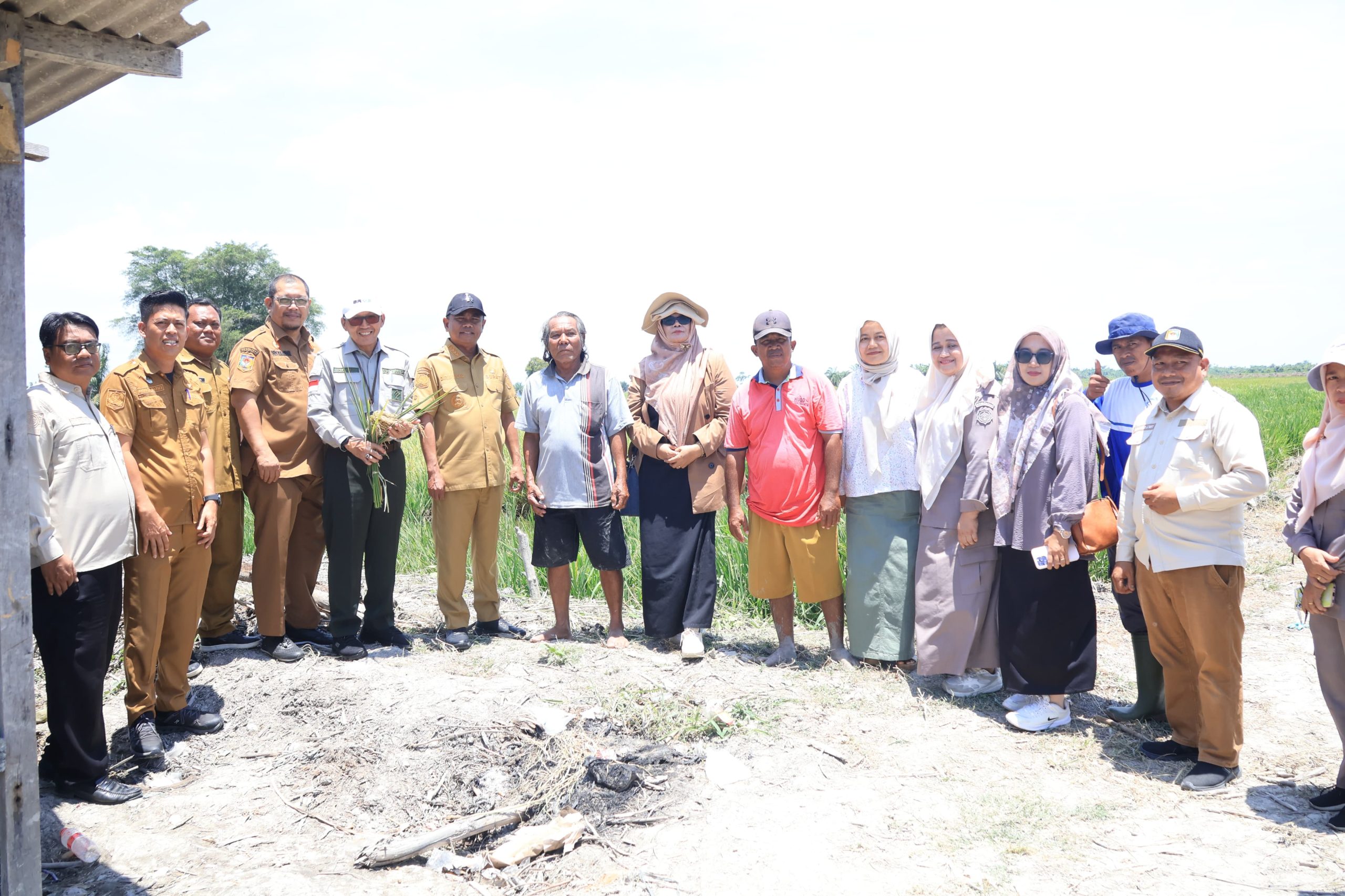 Targetkan Produktivitas Padi Naik, Bupati Darma Wijaya Dukung Penuh Program PM-AAS di Sergai