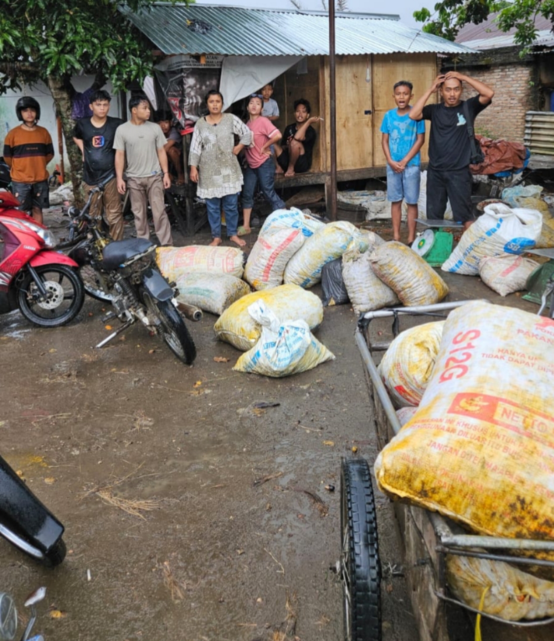 Kerugian Ratusan Juta Akibat Pencurian Sawit, Penegakan Hukum Polres Asahan Dipertanyakan