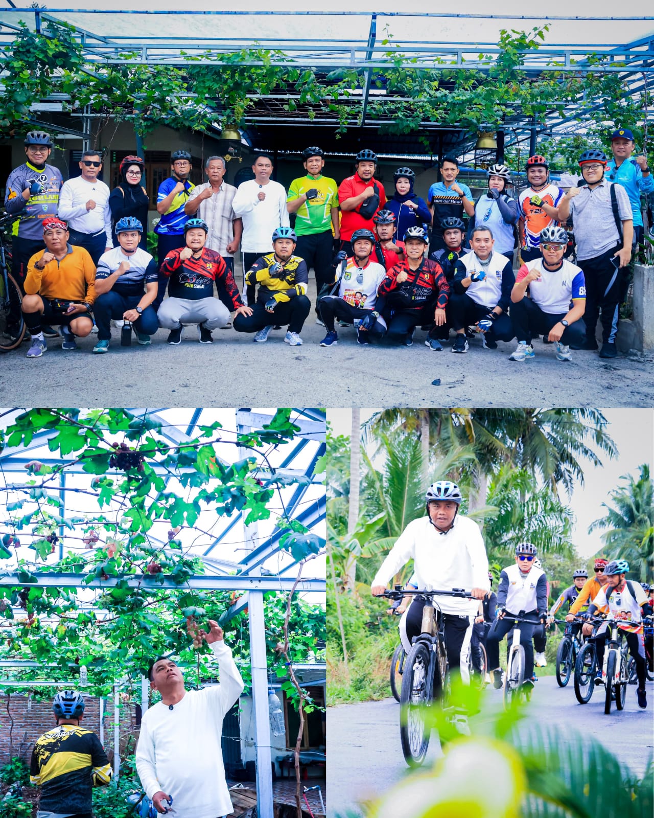 Bersepeda Menyusuri Desa, Bupati Sergai Temukan Potensi Pertanian dari Anggur hingga Melon