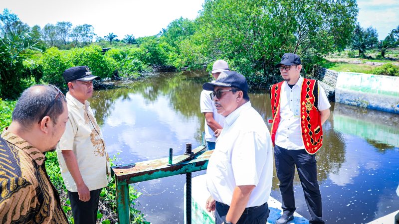 Bupati Sergai Tegaskan Perbaikan Irigasi Kunci Peningkatan Produktivitas Pertanian