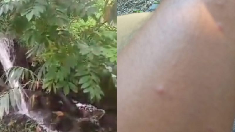 Warga Resah, Sungai Bahilang Diduga Tercemar Limbah PTPN III Gunung Para Dolok Merawan