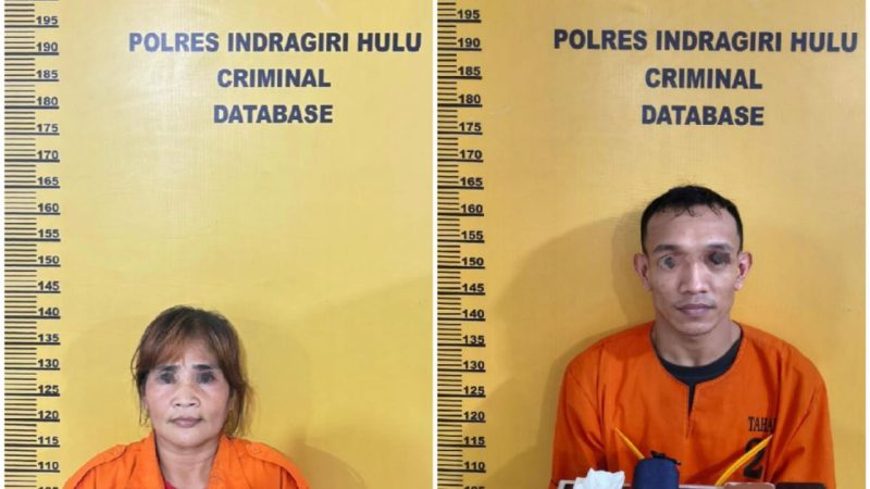 IRT Warga Desa Sungai Beringin Rengat Jadi Pengedar Narkoba, Pemasok Diringkus Sembunyi Diwisma