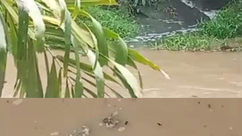 Limbah Dari Sungai Bahilang Semakin Meresahkan, Warga Temukan Limbah Karet Mengapung Diduga Milik Pabrik PTPN III Gunung Para