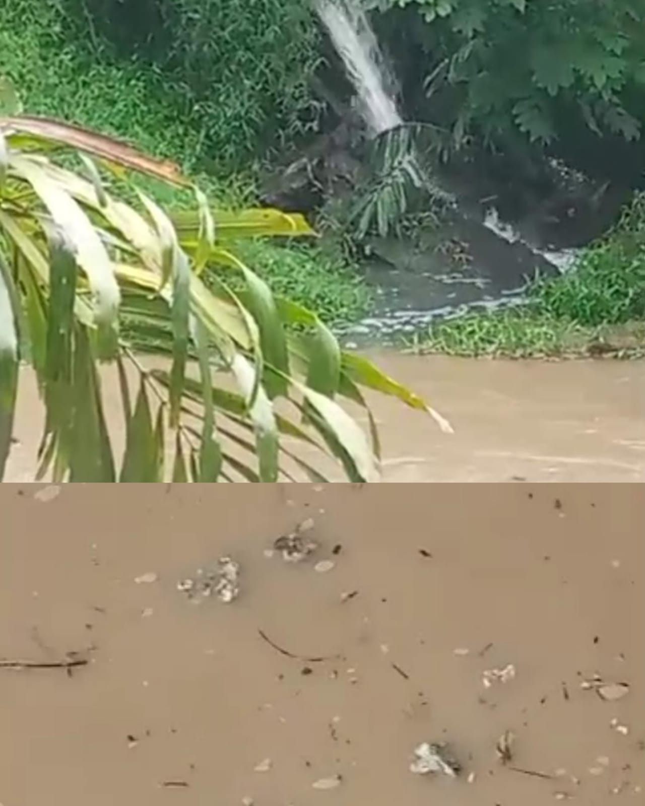 Limbah Dari Sungai Bahilang Semakin Meresahkan, Warga Temukan Limbah Karet Mengapung Diduga Milik Pabrik PTPN III Gunung Para