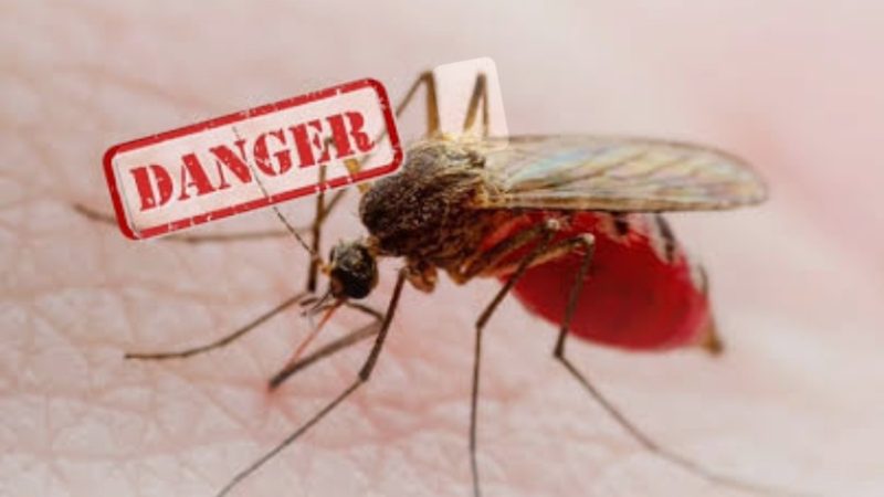 Kasus Malaria Meningkat, Kinerja Dinkes Sumut Jadi Sorotan
