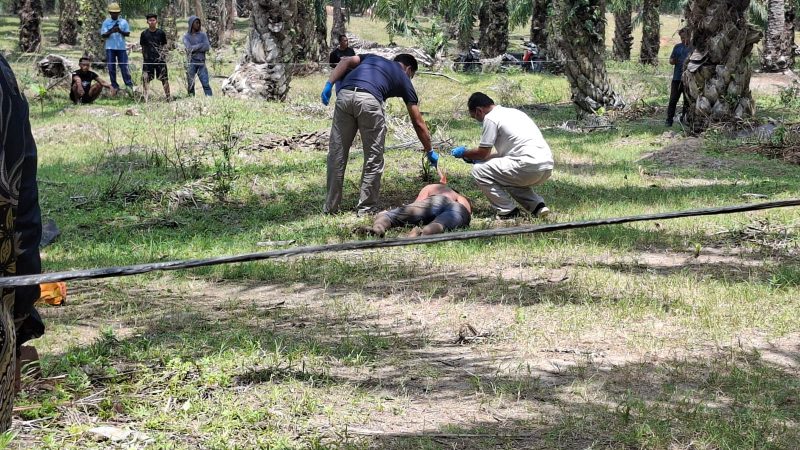 Warga Sergai Geger, Seorang Pria Ditemukan Bersimbah Darah di Kebun PT Socfindo Matapao