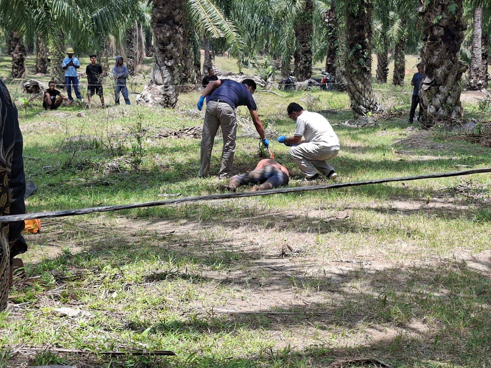 Warga Sergai Geger, Seorang Pria Ditemukan Bersimbah Darah di Kebun PT Socfindo Matapao