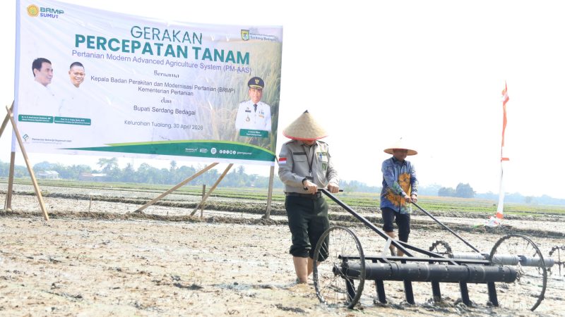 Bupati Sergai Dorong Pertanian Modern, Targetkan Produktivitas 10 Ton/Hektar