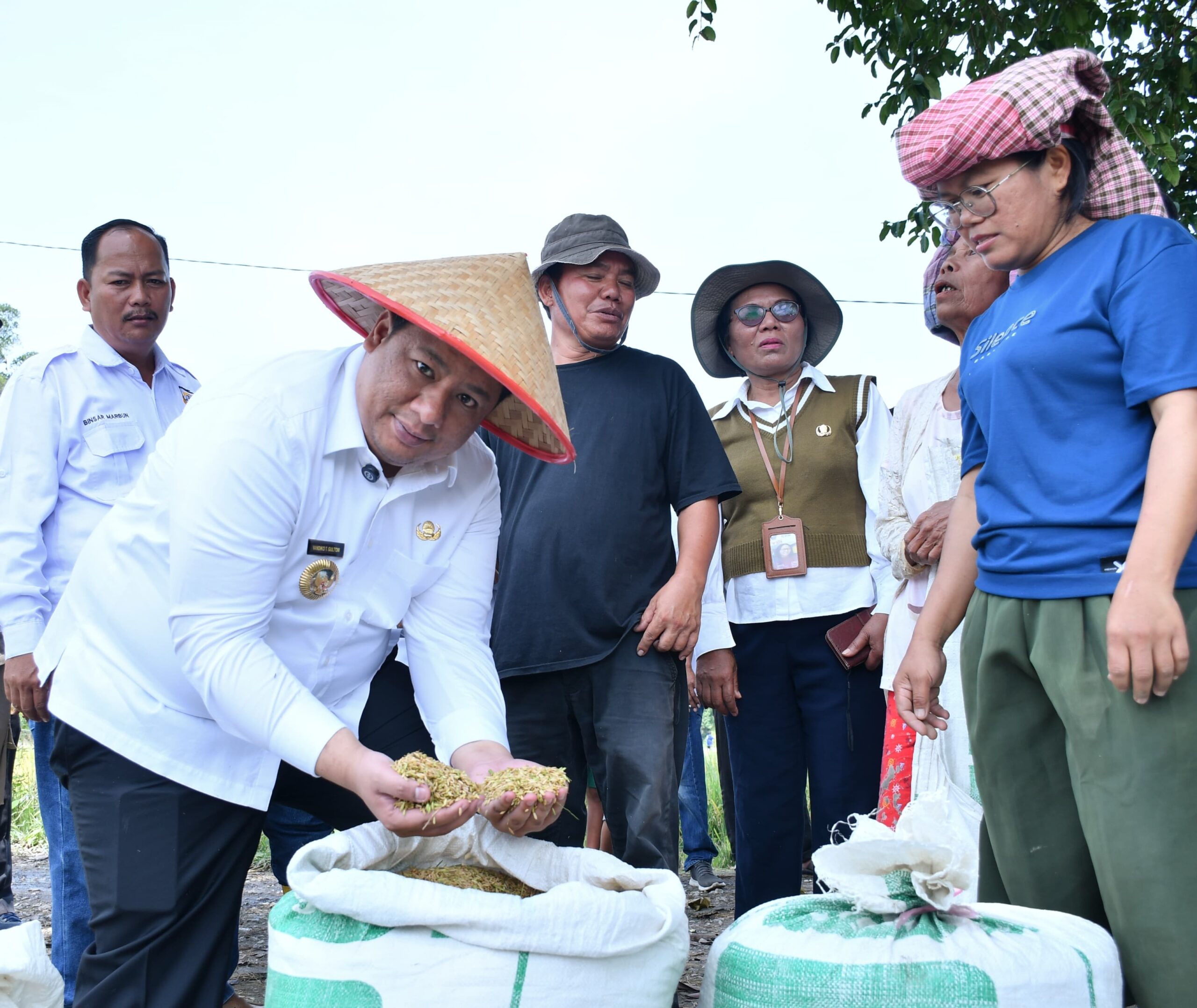 Taksi Alsintan Permudah Petani, Bupati Samosir Vandiko T. Gultom Turun Langsung Panen Padi Bersama Masyarakat