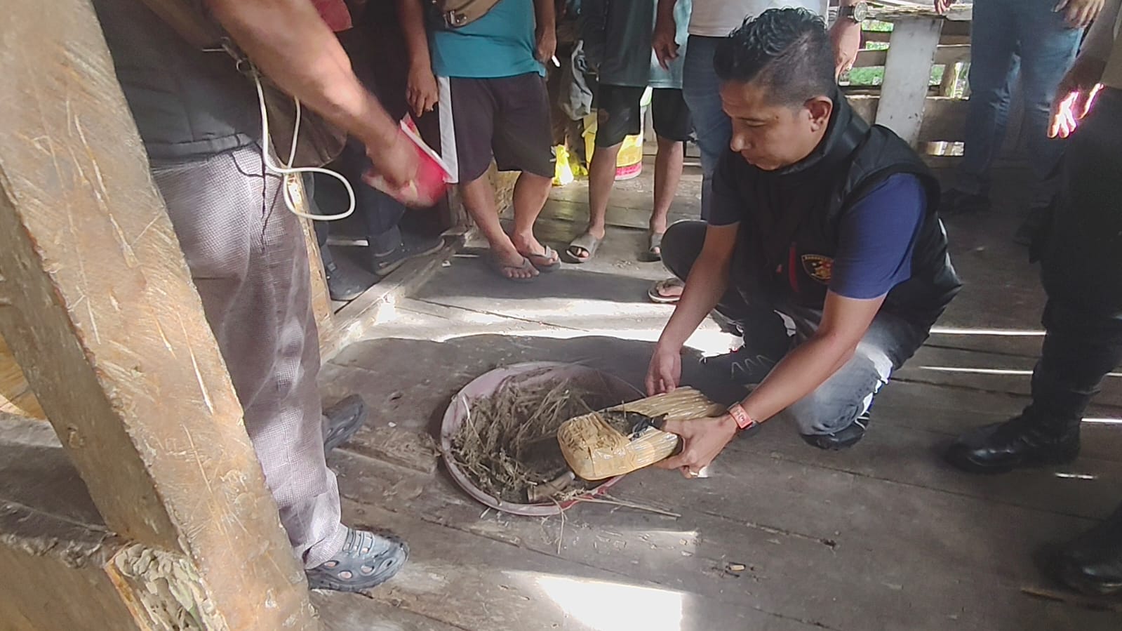 Sebanyak 2 Kilogram Ganja Gagal Diedarkan di Bukit Lawang, Polsek Bahorok Tangkap Pengedar Beserta Barang Bukti
