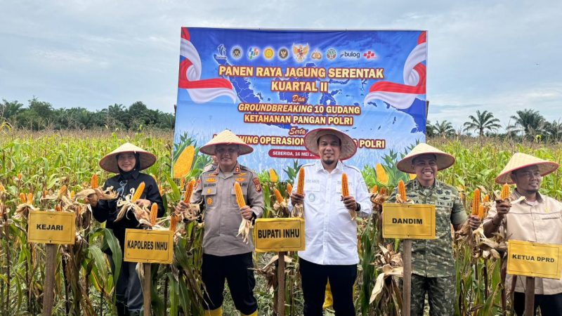 Dukung Program Ketahanan Pangan Nasional, Kapolres Bersama Bupati Inhu Panen Jagung Pipil