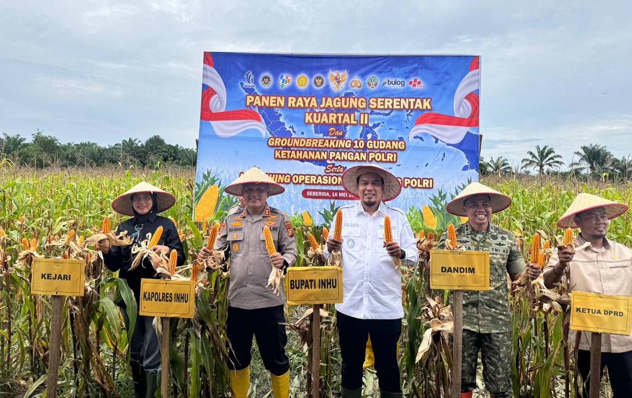 Dukung Program Ketahanan Pangan Nasional, Kapolres Bersama Bupati Inhu Panen Jagung Pipil
