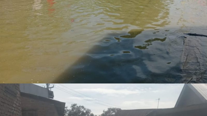 Banjir Rob Kembali Rendam Pesisir Tanjung Beringin, Kantor Desa Bagan Kuala Ikut Tergenang