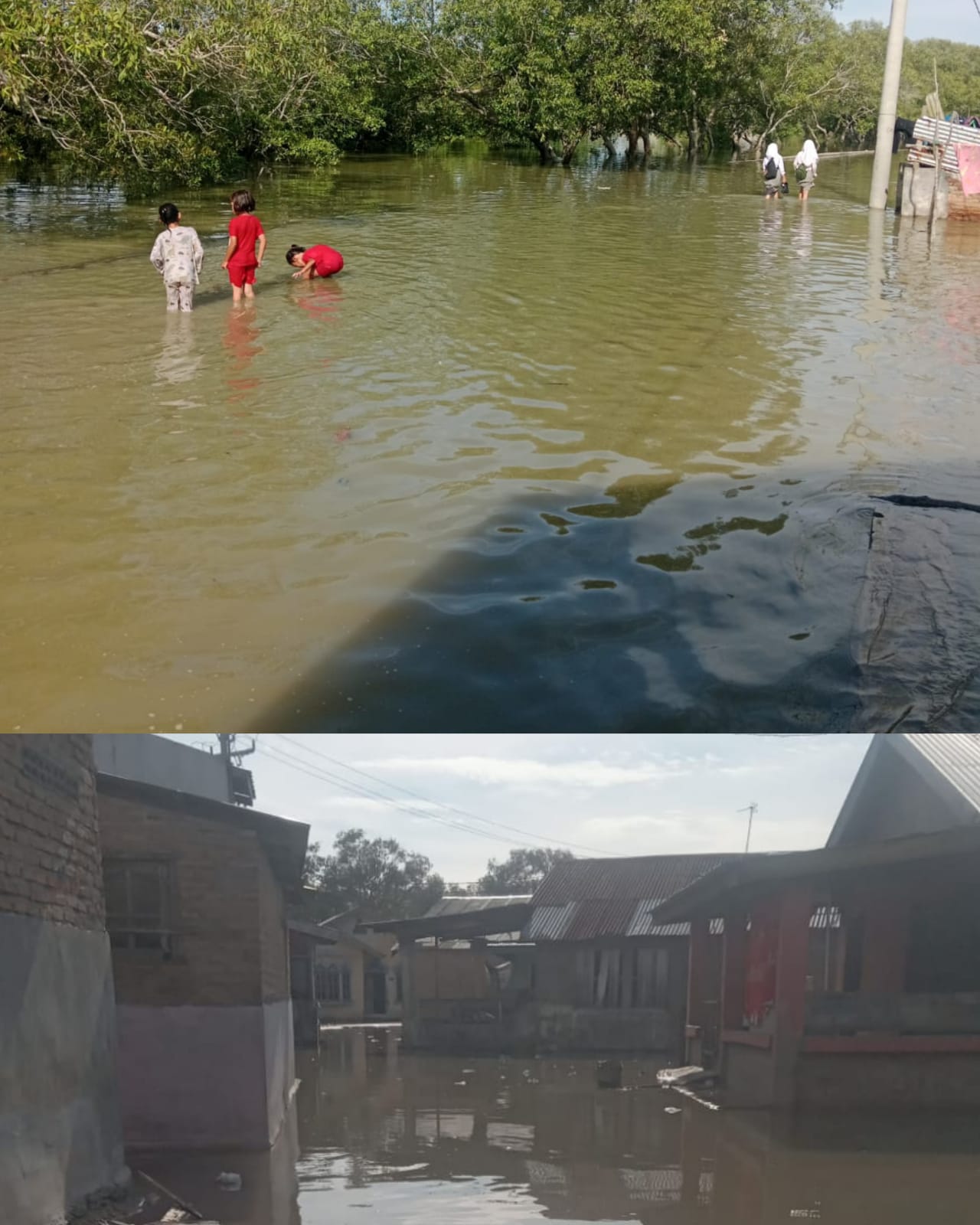 Banjir Rob Kembali Rendam Pesisir Tanjung Beringin, Kantor Desa Bagan Kuala Ikut Tergenang