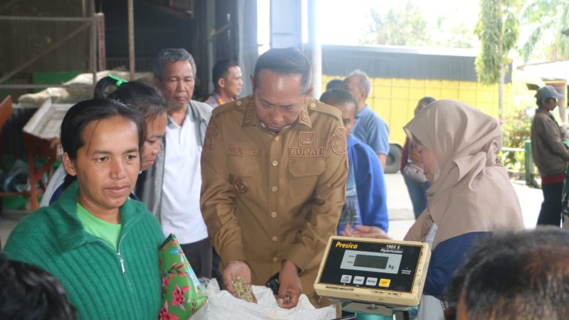 Bupati Taput Kunjungi Industri Kopi di Siborongborong, Dorong Kesejahteraan Petani Lokal