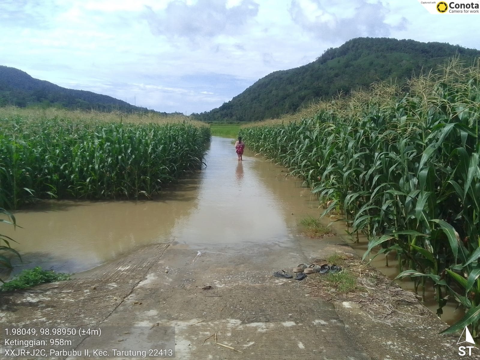 Banjir Batang Toru Rendam 6 Rumah dan 15 Hektare Lahan Pertanian di Tarutung