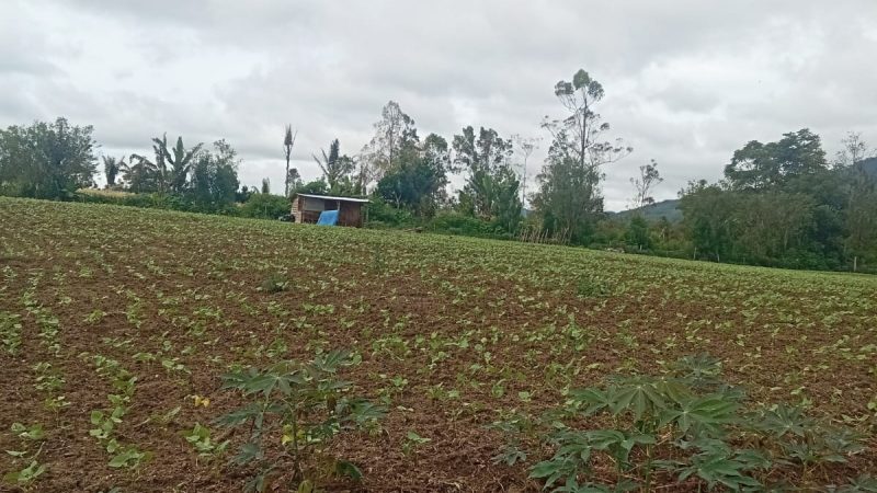 Inspektorat Taput Turun Tangan Usut Dugaan Penyimpangan Dana BUMDes