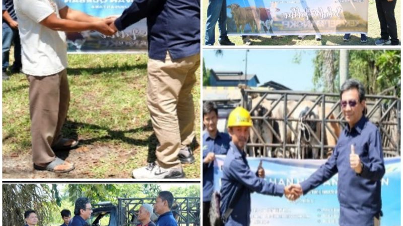 Sambut dan Rayakan Idul Adha 1447 H/2026 M, PT Kawasan Industri Nusantara (PT KINRA) Serahkan Hewan Qurban Enam Ekor Sapi kepada Masyarakat Sekitar KEK Sei Mangkei