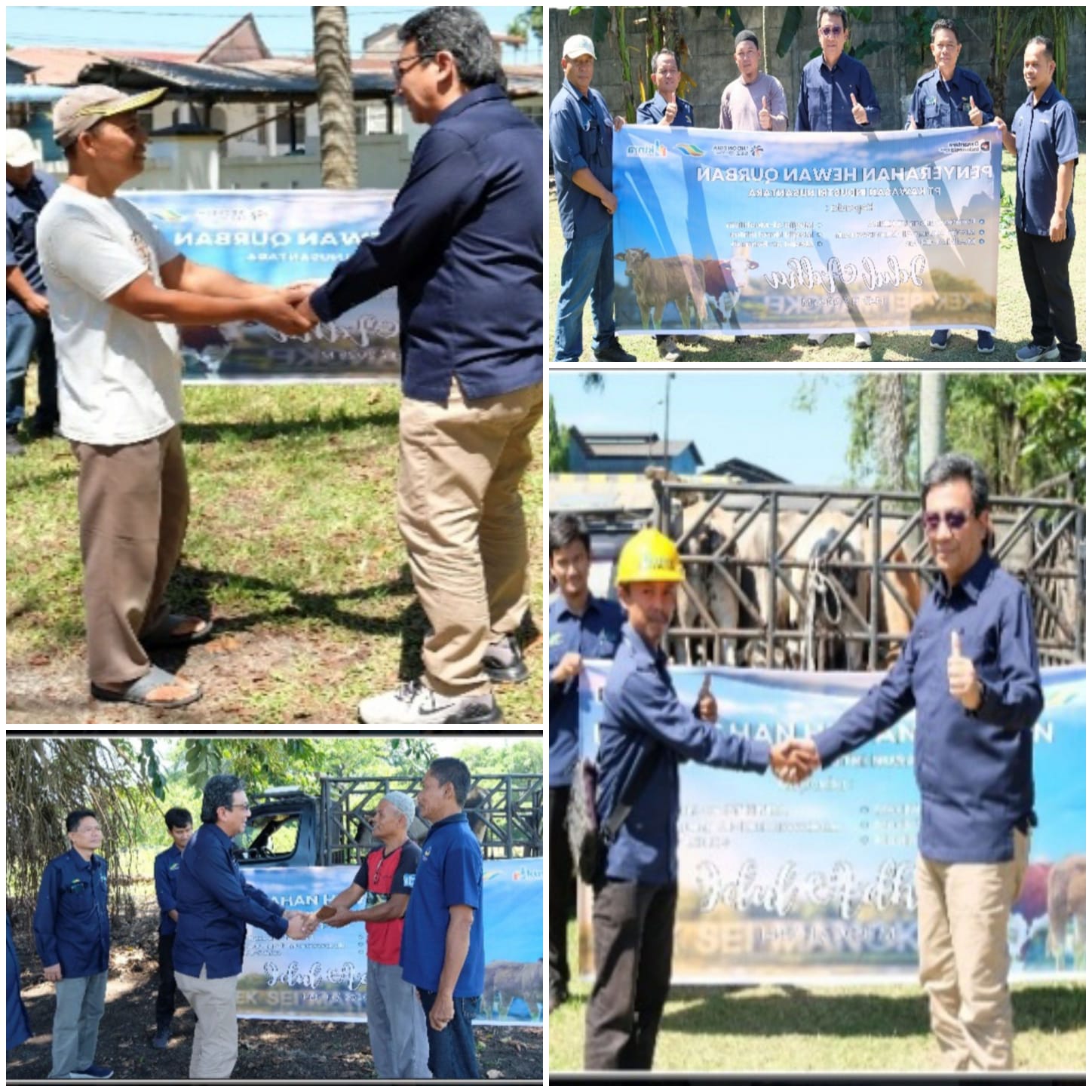 Sambut dan Rayakan Idul Adha 1447 H/2026 M, PT Kawasan Industri Nusantara (PT KINRA) Serahkan Hewan Qurban Enam Ekor Sapi kepada Masyarakat Sekitar KEK Sei Mangkei