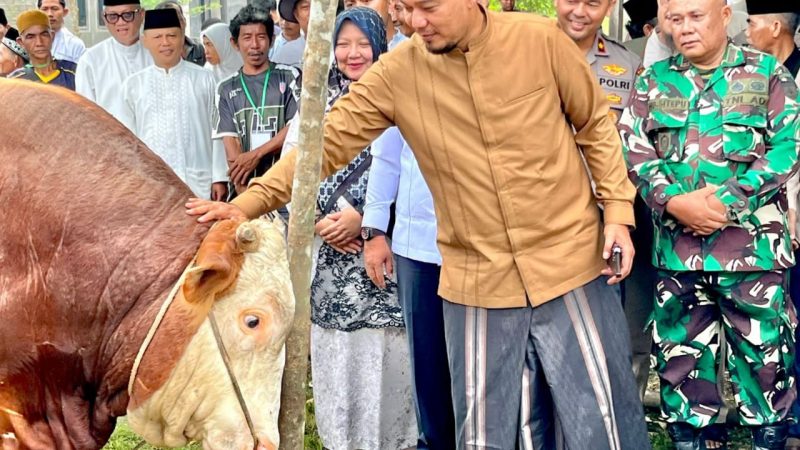 Momen Idul Adha, Pemkab Inhu Salurkan Hewan Qurban dari Presiden 